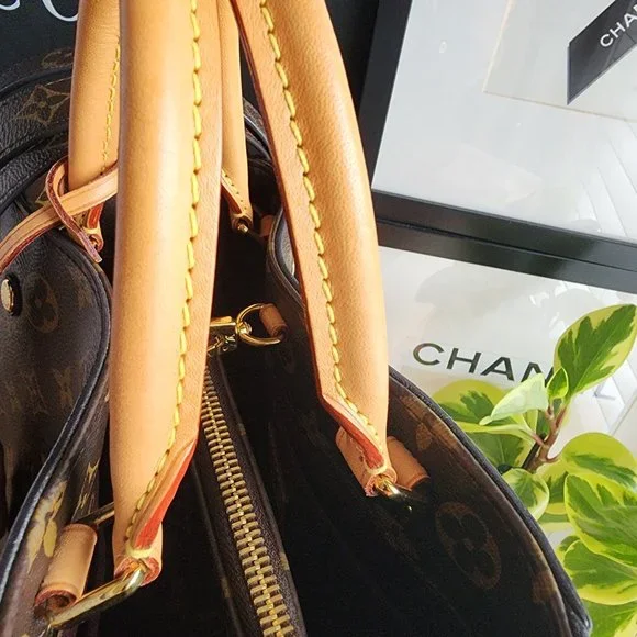 Montaigne bb - Picture 8 of 16